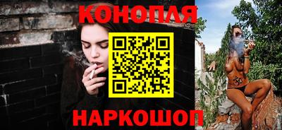 сатива Сланцы