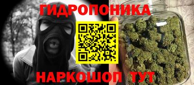 сатива Сланцы