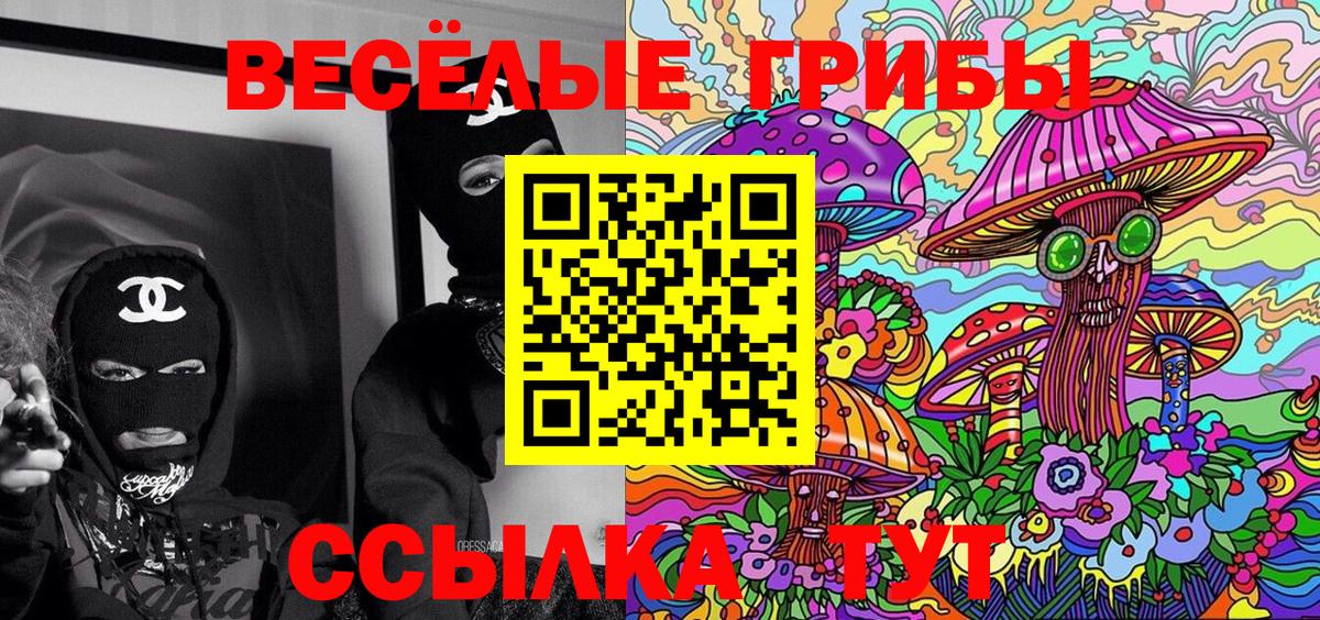 Галлюциногенные грибы Psilocybe  Вход с VPN  где можно купить   Волжский 
