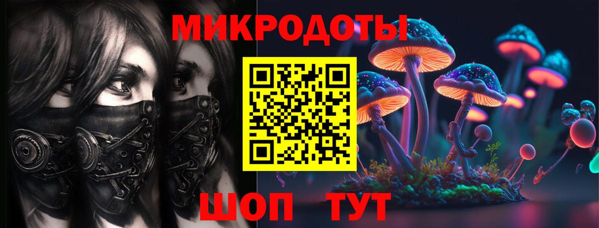 Псилоцибиновые грибы Psilocybe Волжский